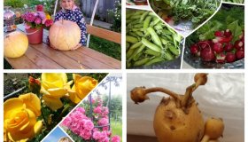 ИТОГИ ФОТОКОНКУРСА «МОЙ БОГАТЫЙ УРОЖАЙ!»