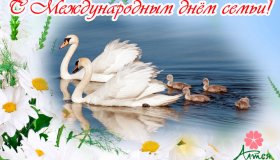 С МЕЖДУНАРОДНЫМ ДНЁМ СЕМЬИ!