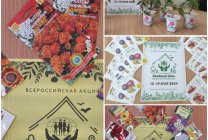 зеленый день