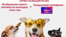 ИТОГИ ФОТОКОНКУРСА «МОЙ ЛЮБИМЫЙ ПИТОМЕЦ»  